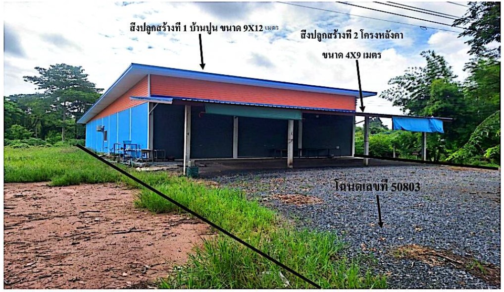 รูปที่ดินพร้อมสิ่งปลูกสร้าง ทับหมัน ตะพานหิน พิจิตร