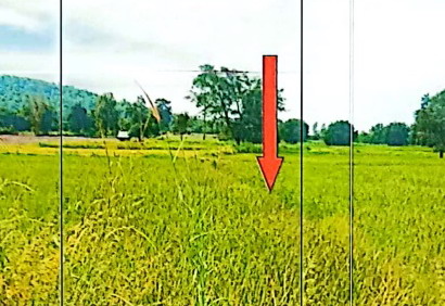 รูปที่ดินว่างเปล่า ผาเสวย สมเด็จ กาฬสินธุ์