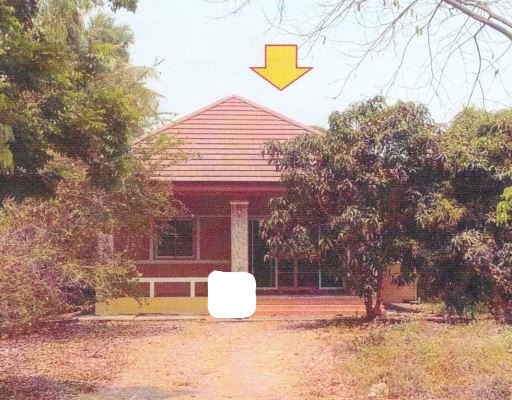 รูปที่ดินพร้อมสิ่งปลูกสร้าง หนองกระทุ่ม ค่ายบางระจัน สิงห์บุรี