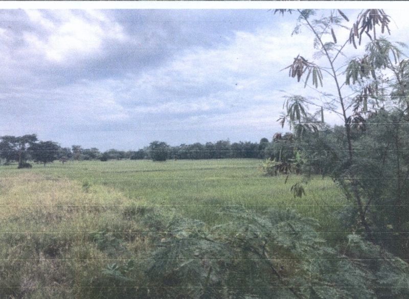 รูปที่ดินว่างเปล่า โนนสะอาด แวงใหญ่ ขอนแก่น