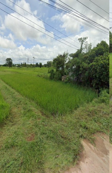 รูปที่ดินว่างเปล่า นาหว้า ปทุมราชวงศา อำนาจเจริญ
