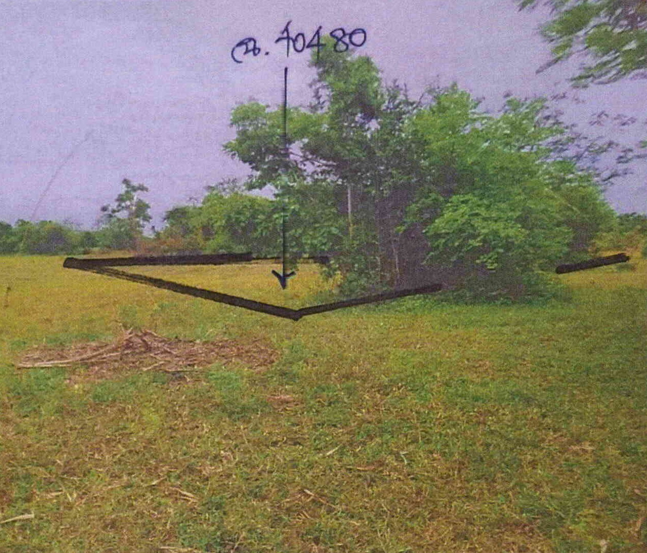 รูปที่ดินว่างเปล่า วังเพลิง โคกสำโรง ลพบุรี