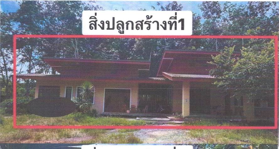 รูปที่ดินพร้อมสิ่งปลูกสร้าง ทุ่งสง นาบอน นครศรีธรรมราช