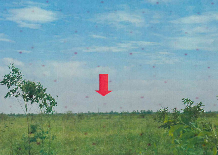 รูปที่ดินว่างเปล่า บางอ้อ บ้านนา นครนายก