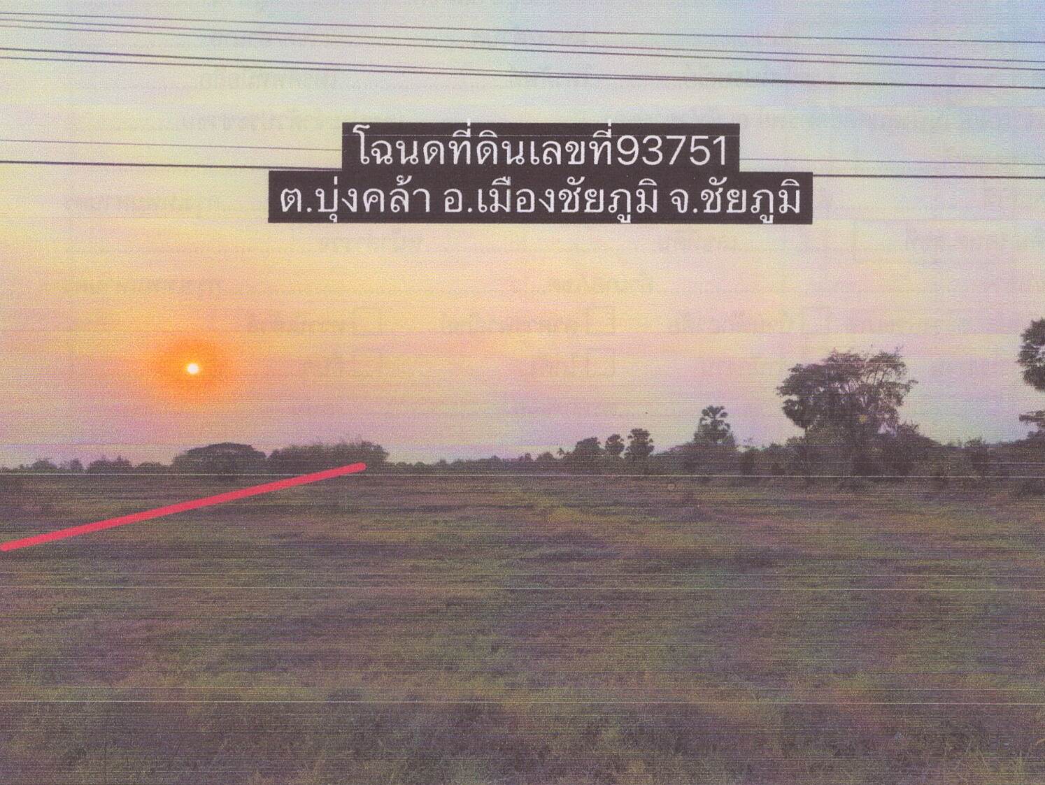 รูปที่ดินว่างเปล่า บุ่งคล้า เมืองชัยภูมิ ชัยภูมิ