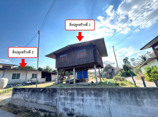 รูปที่ดินพร้อมสิ่งปลูกสร้าง โพธิ์ไทร ป่าติ้ว ยโสธร