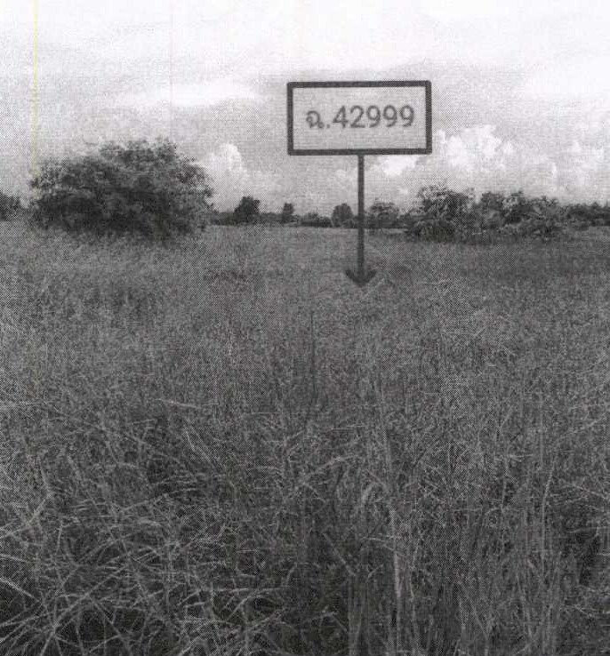 รูปที่ดินว่างเปล่า โพนทอง หนองแค สระบุรี