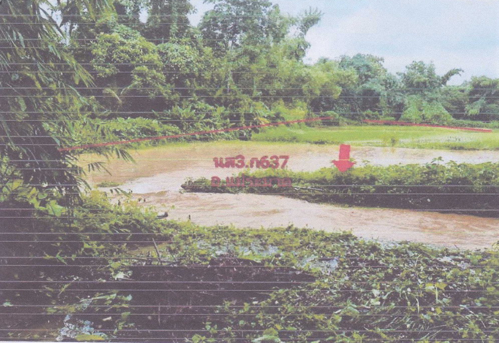รูปที่ดินว่างเปล่า ขะเนจื้อ แม่ระมาด ตาก