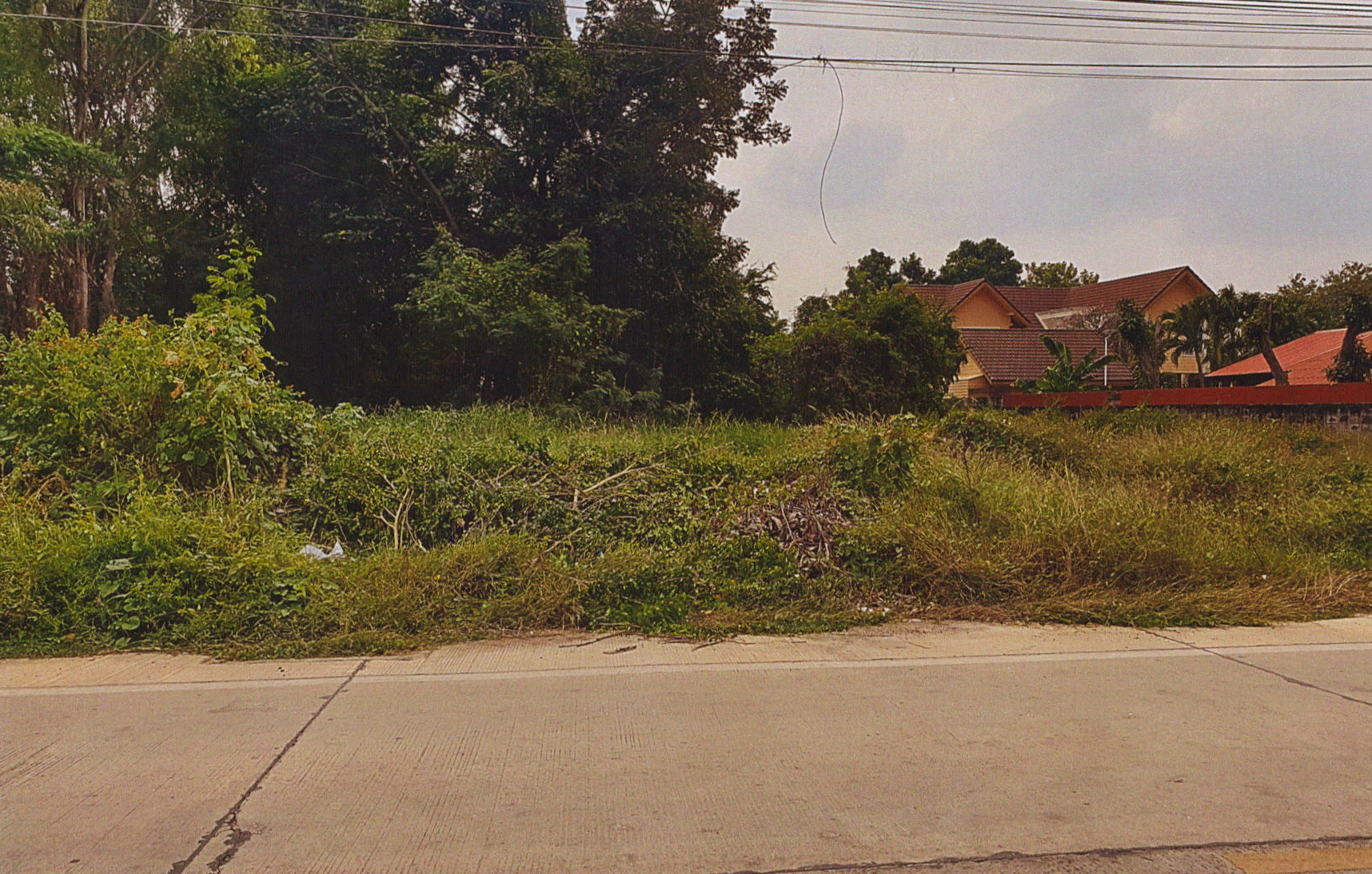 รูปที่ดินว่างเปล่า หวายเหนียว ท่ามะกา กาญจนบุรี
