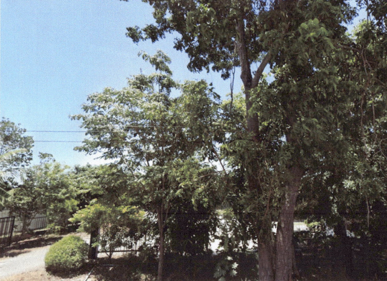 รูปที่ดินว่างเปล่า วังหว้า ศรีประจันต์ สุพรรณบุรี