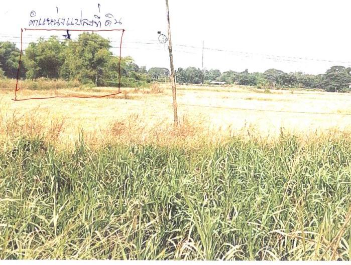 รูปที่ดินว่างเปล่า บางน้ำเชี่ยว พรหมบุรี สิงห์บุรี