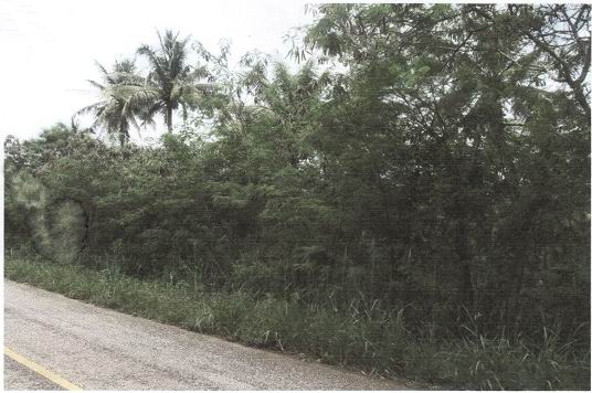 รูปที่ดินว่างเปล่า ทรายทอง บางสะพานน้อย ประจวบคีรีขันธ์