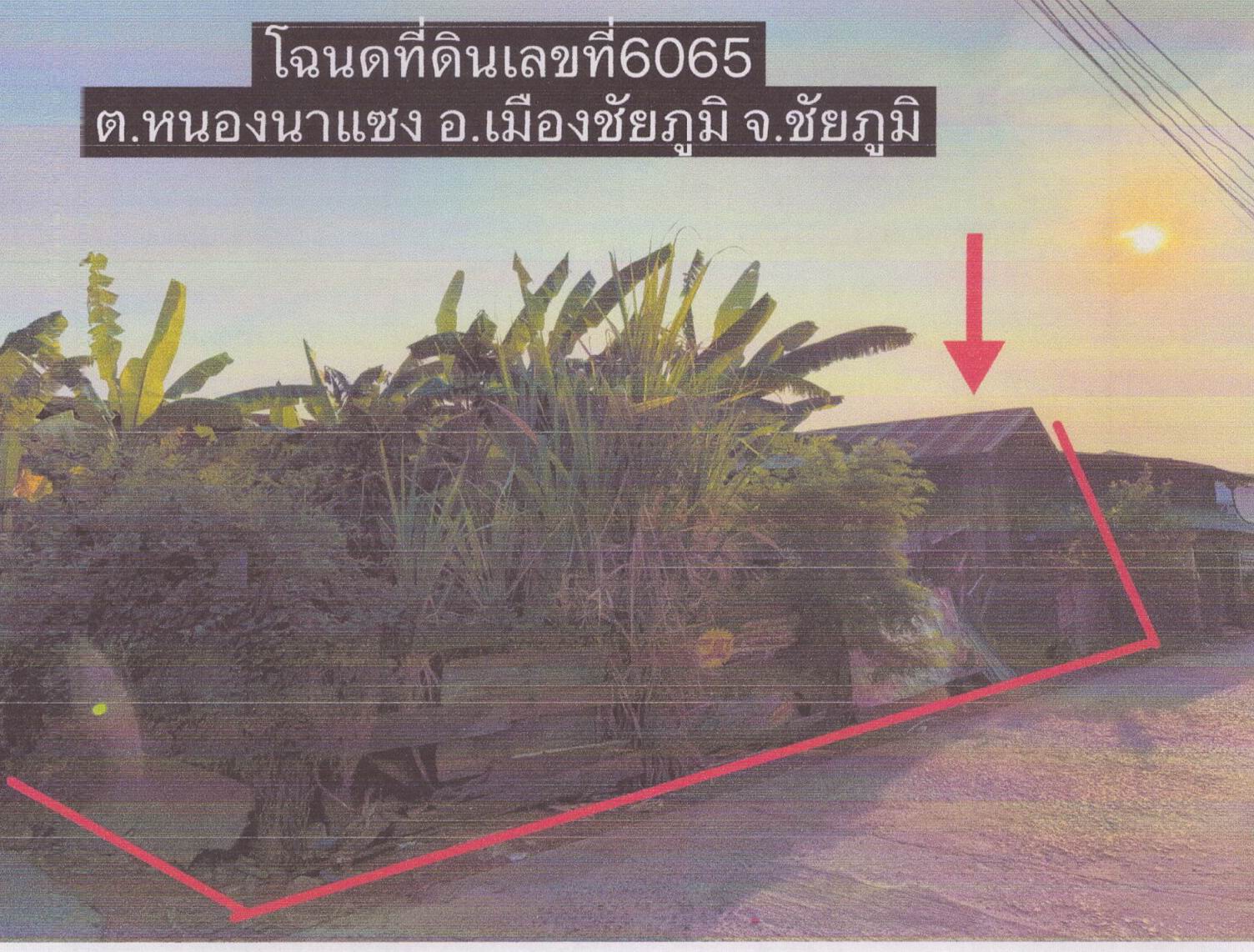 รูปที่ดินพร้อมสิ่งปลูกสร้าง หนองนาแซง เมืองชัยภูมิ ชัยภูมิ