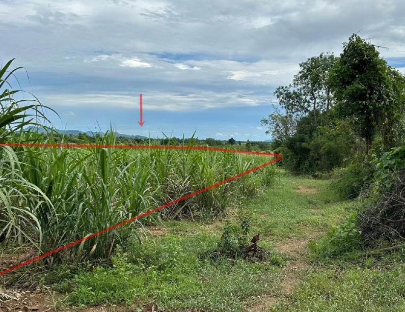 รูปที่ดินว่างเปล่า หนองอ้อ ศรีสัชนาลัย สุโขทัย