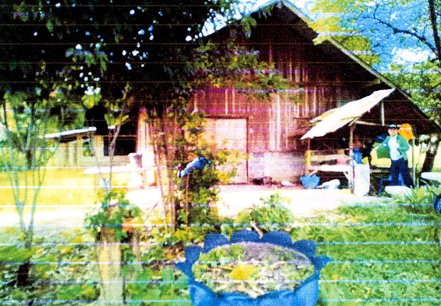 รูปที่ดินพร้อมสิ่งปลูกสร้าง บ้านบาก ดอนตาล มุกดาหาร