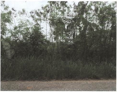 รูปที่ดินว่างเปล่า ทรายทอง บางสะพานน้อย ประจวบคีรีขันธ์