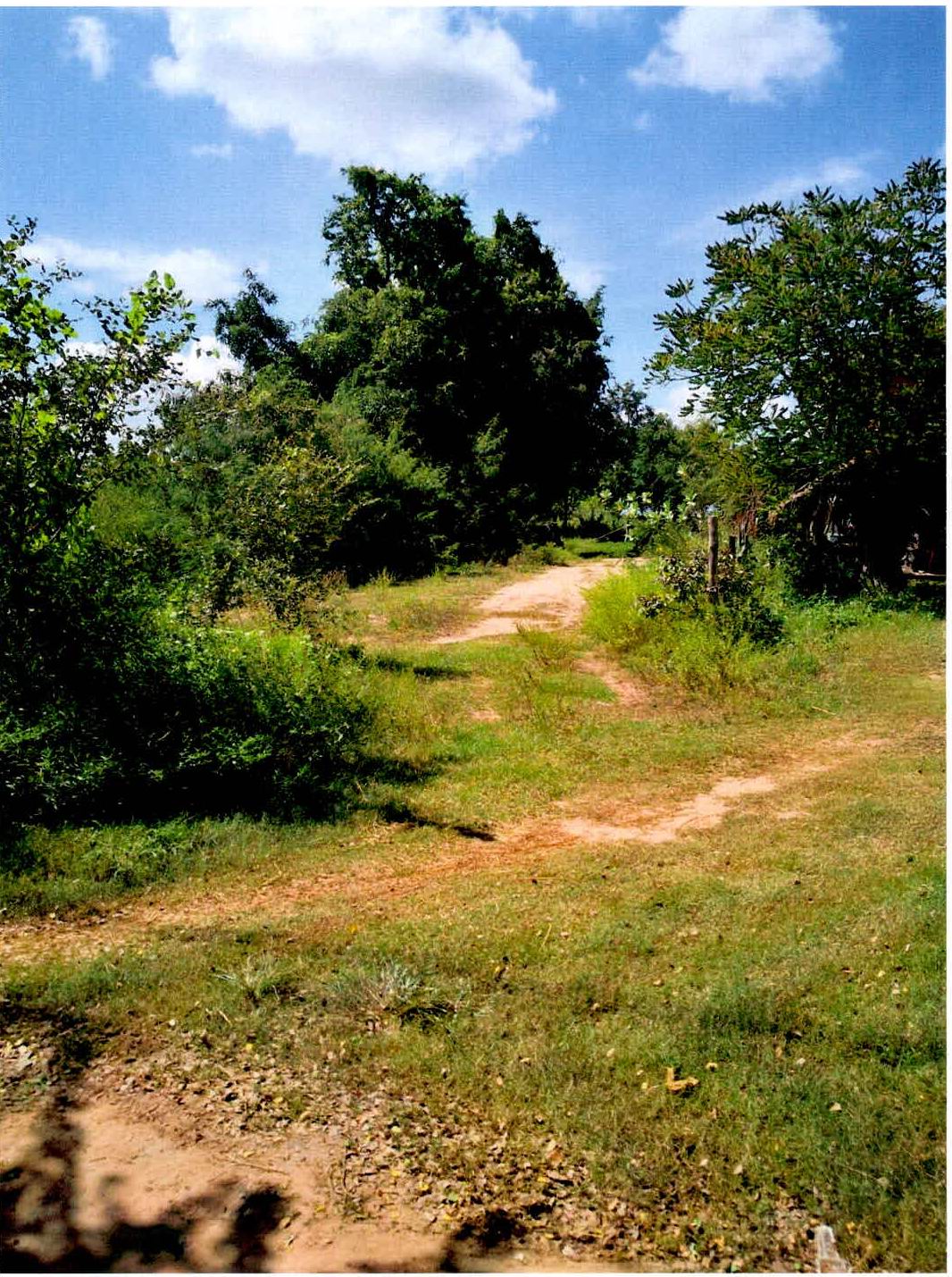 รูปที่ดินว่างเปล่า หนองสิม บรบือ มหาสารคาม