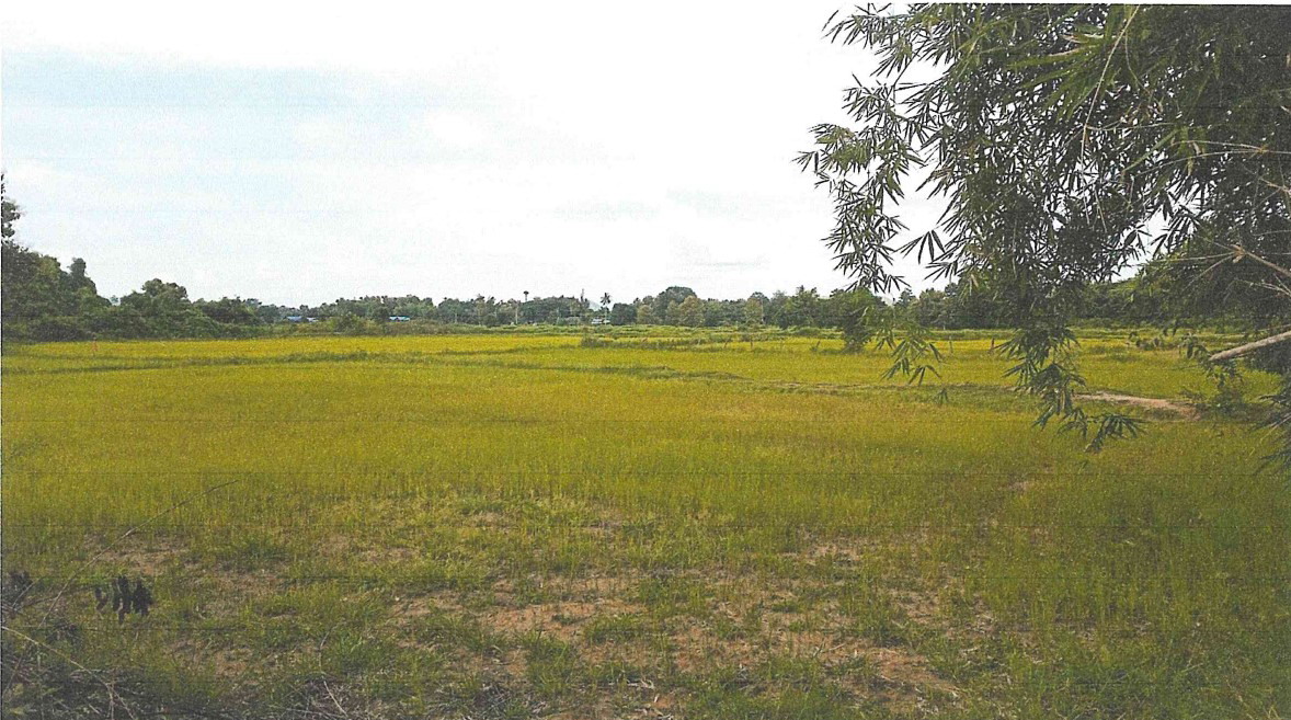 รูปที่ดินว่างเปล่า โป่งแดง เมืองตาก ตาก
