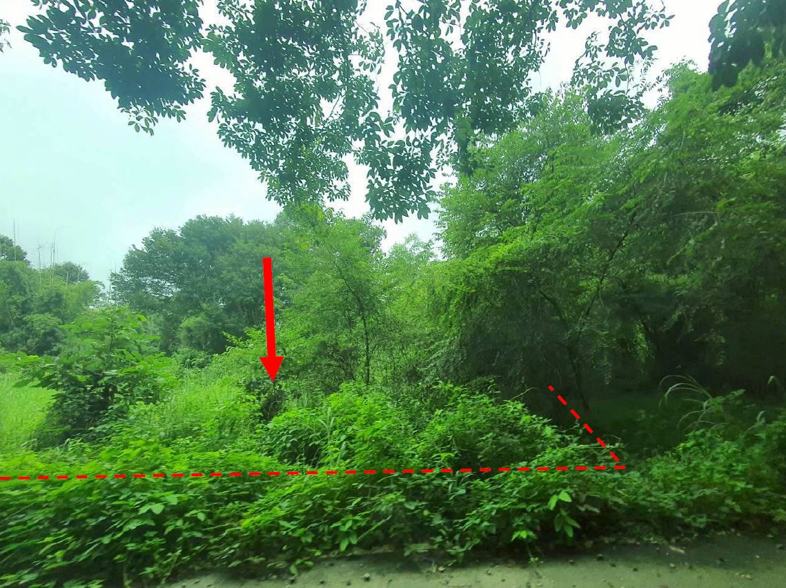 รูปที่ดินว่างเปล่า สำราญ เมืองยโสธร ยโสธร
