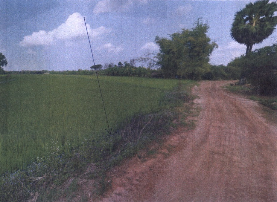รูปที่ดินว่างเปล่า นาข่า ท่าบ่อ หนองคาย