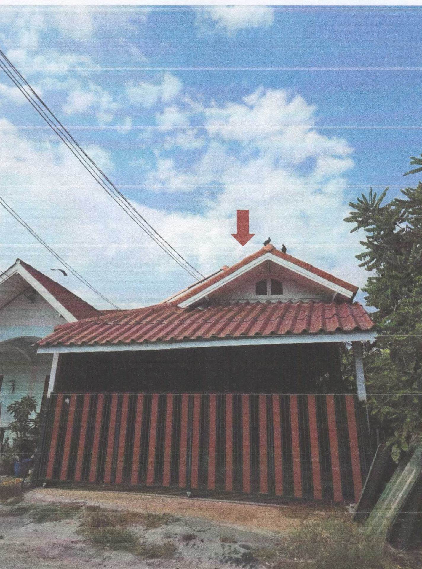 รูปที่ดินพร้อมสิ่งปลูกสร้าง หนองปลิง เมืองนครสวรรค์ นครสวรรค์