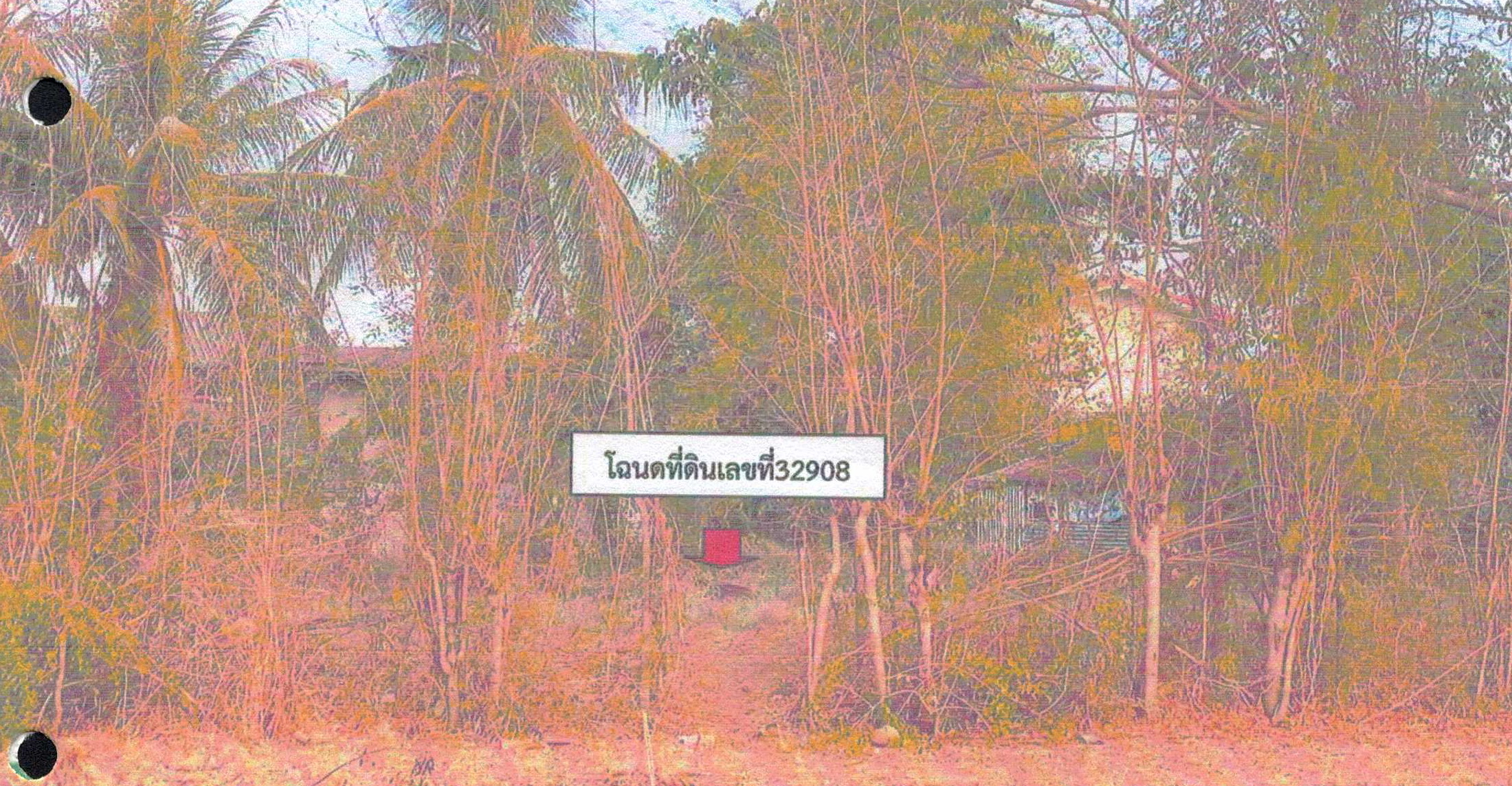รูปที่ดินว่างเปล่า กุดตุ้ม เมืองชัยภูมิ ชัยภูมิ