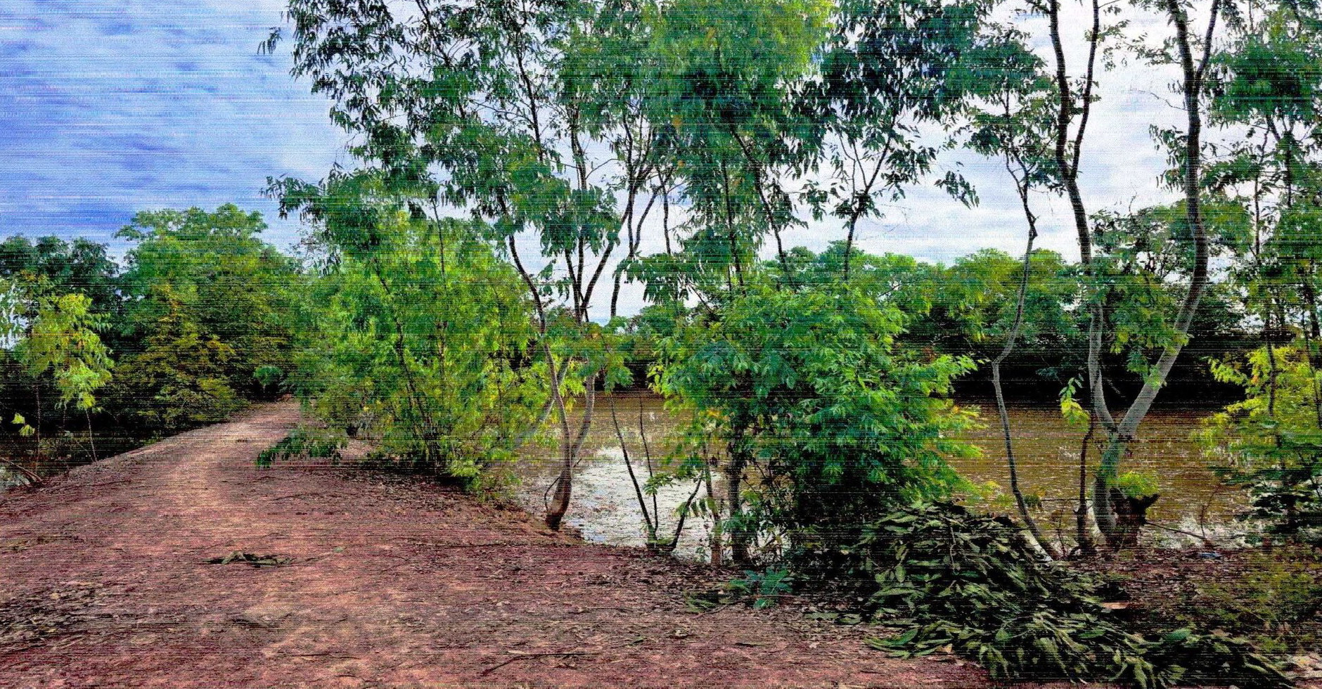 รูปที่ดินว่างเปล่า โพธิ์ชัย เมืองหนองคาย หนองคาย