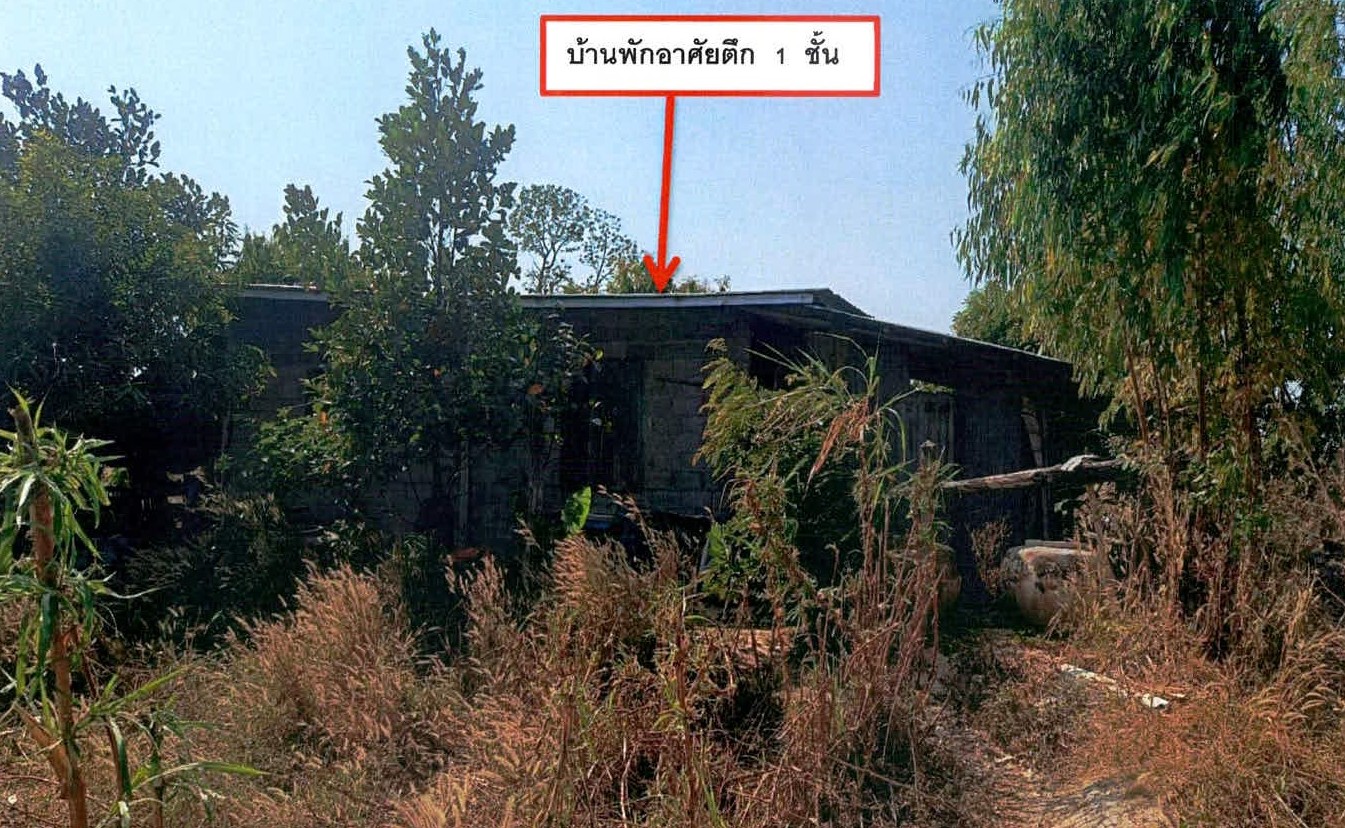 รูปที่ดินพร้อมสิ่งปลูกสร้าง จอมพระ จอมพระ สุรินทร์