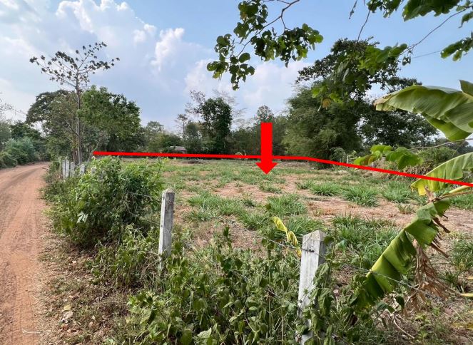 รูปที่ดินว่างเปล่า หนองผือ จตุรพักตรพิมาน ร้อยเอ็ด
