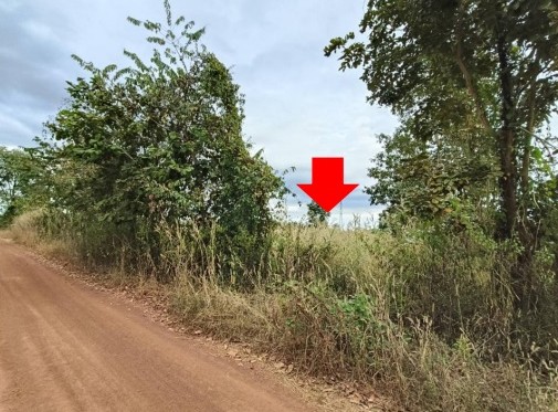 รูปที่ดินว่างเปล่า ธาตุ วานรนิวาส สกลนคร