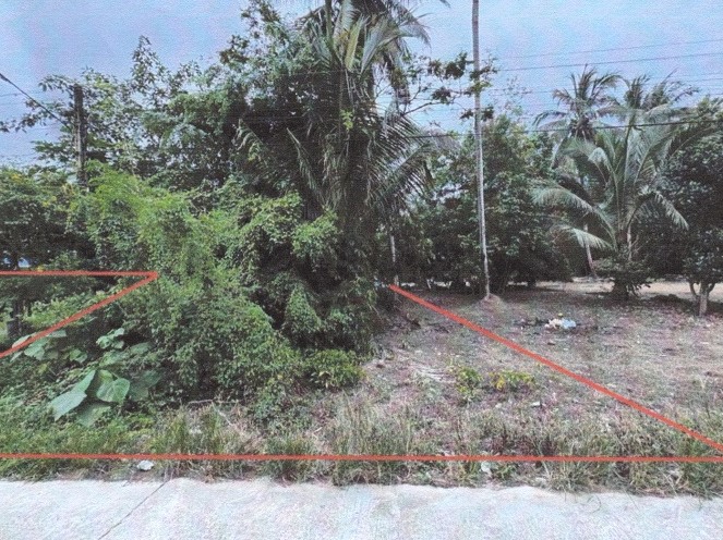 รูปที่ดินว่างเปล่า ช้างแรก บางสะพานน้อย ประจวบคีรีขันธ์