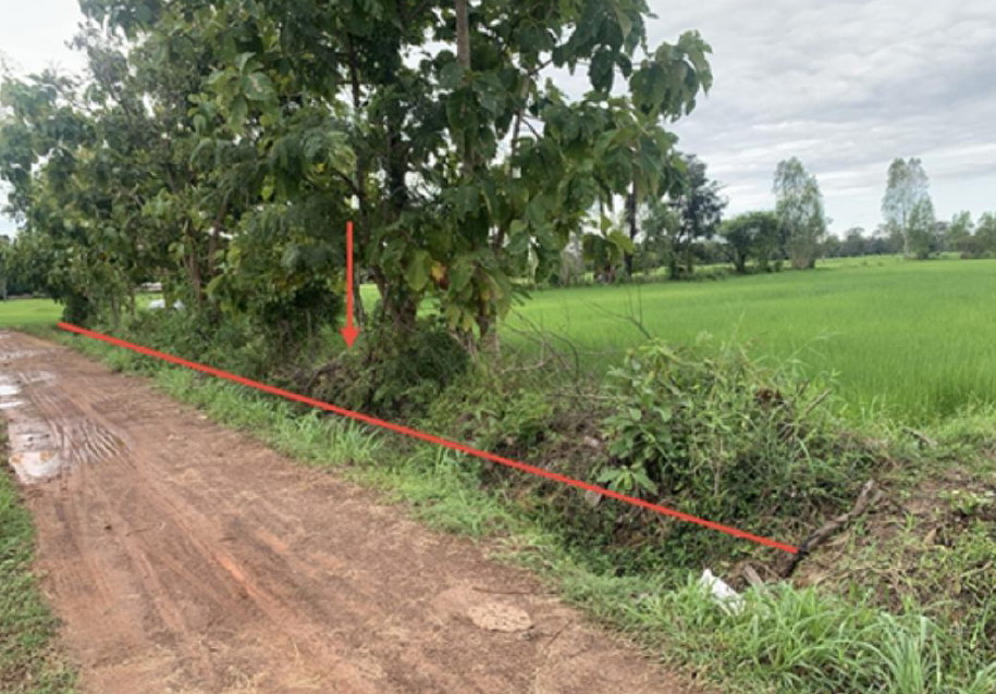 รูปที่ดินว่างเปล่า โนนโพธิ์ เมืองอำนาจเจริญ อำนาจเจริญ
