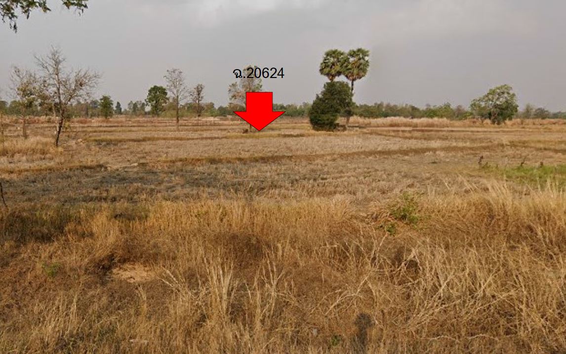 รูปที่ดินว่างเปล่า สามัคคี เลิงนกทา ยโสธร