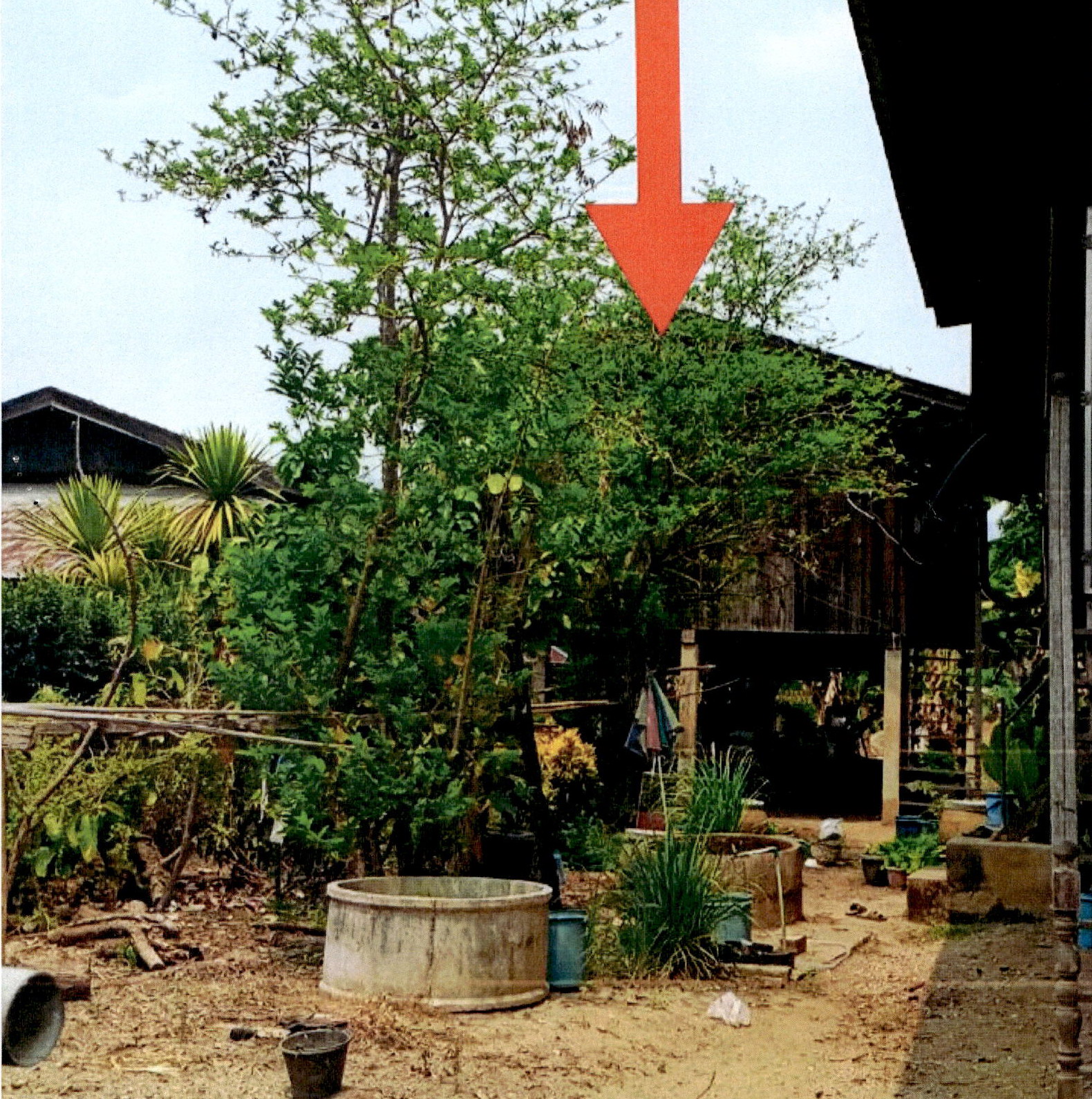 รูปที่ดินพร้อมสิ่งปลูกสร้าง แจ้ห่ม แจ้ห่ม ลำปาง