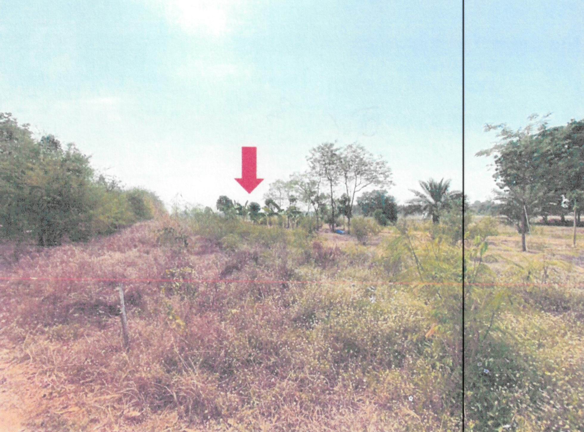 รูปที่ดินว่างเปล่า ไพรนกยูง หันคา ชัยนาท