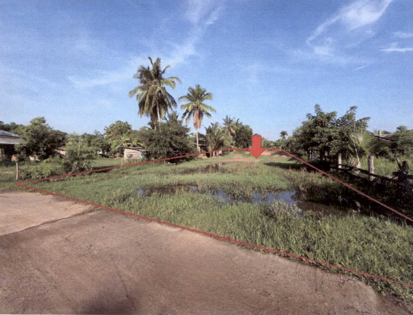 รูปที่ดินว่างเปล่า บ้านสิงห์ นางรอง บุรีรัมย์