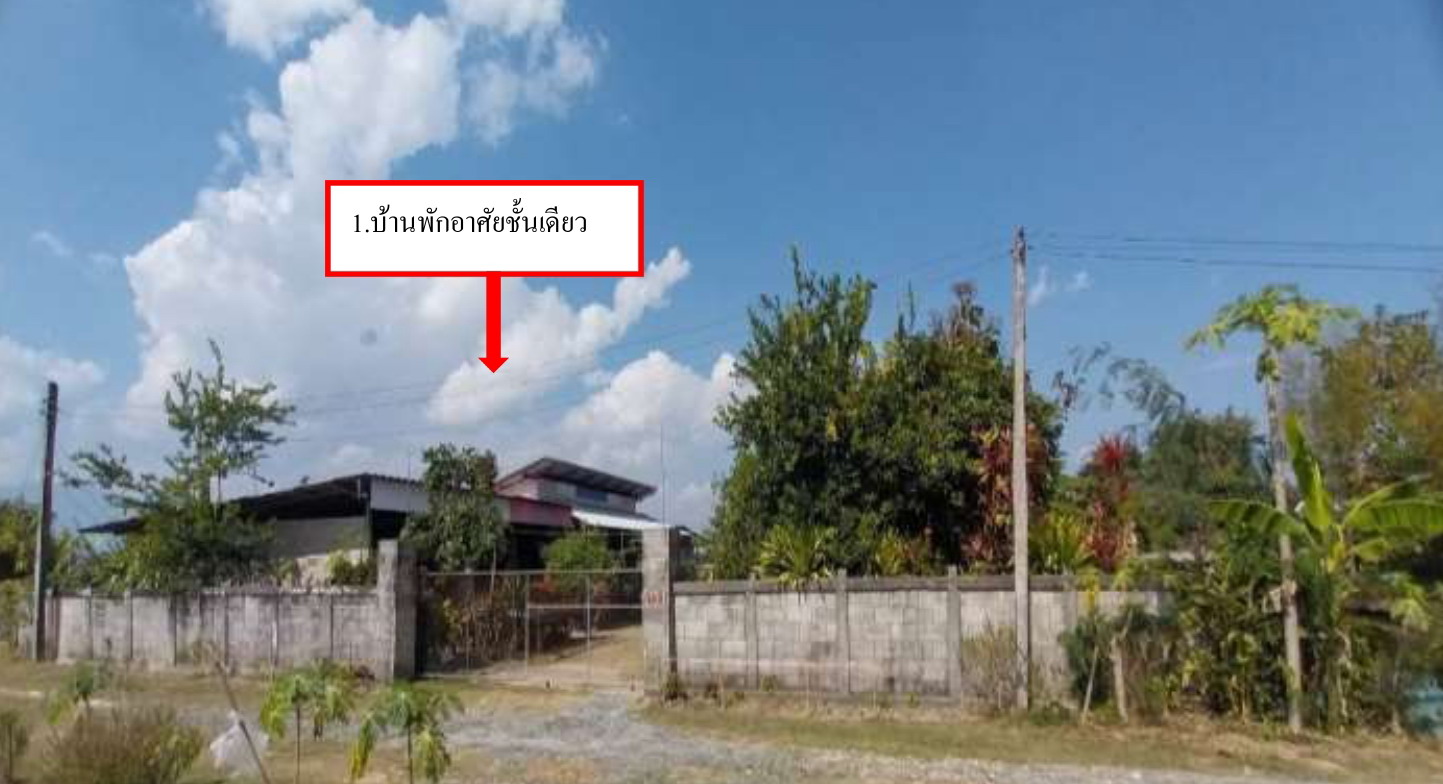 รูปที่ดินพร้อมสิ่งปลูกสร้าง แม่กา เมืองพะเยา พะเยา