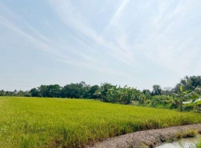 รูปที่ดินว่างเปล่า บางแตน บ้านสร้าง ปราจีนบุรี