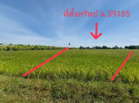 รูปที่ดินว่างเปล่า พังตรุ พนมทวน กาญจนบุรี