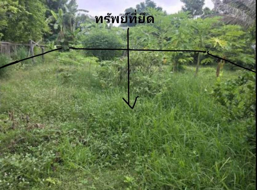 รูปที่ดินว่างเปล่า ท่าชัย ศรีสัชนาลัย สุโขทัย