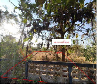 รูปที่ดินว่างเปล่า ทุ่งเสลี่ยม ทุ่งเสลี่ยม สุโขทัย