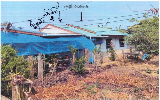 รูปที่ดินพร้อมสิ่งปลูกสร้าง ห้วยพุก ดงเจริญ พิจิตร