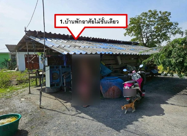 รูปที่ดินพร้อมสิ่งปลูกสร้าง ศาลาขาว เมืองสุพรรณบุรี สุพรรณบุรี