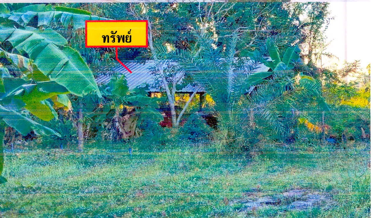 รูปที่ดินพร้อมสิ่งปลูกสร้าง เป๊าะ บึงบูรพ์ ศรีสะเกษ