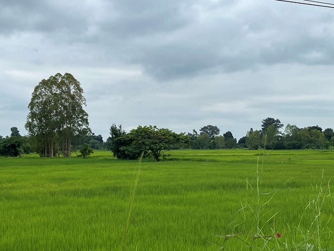 รูปที่ดินว่างเปล่า บ้านดง อุบลรัตน์ ขอนแก่น