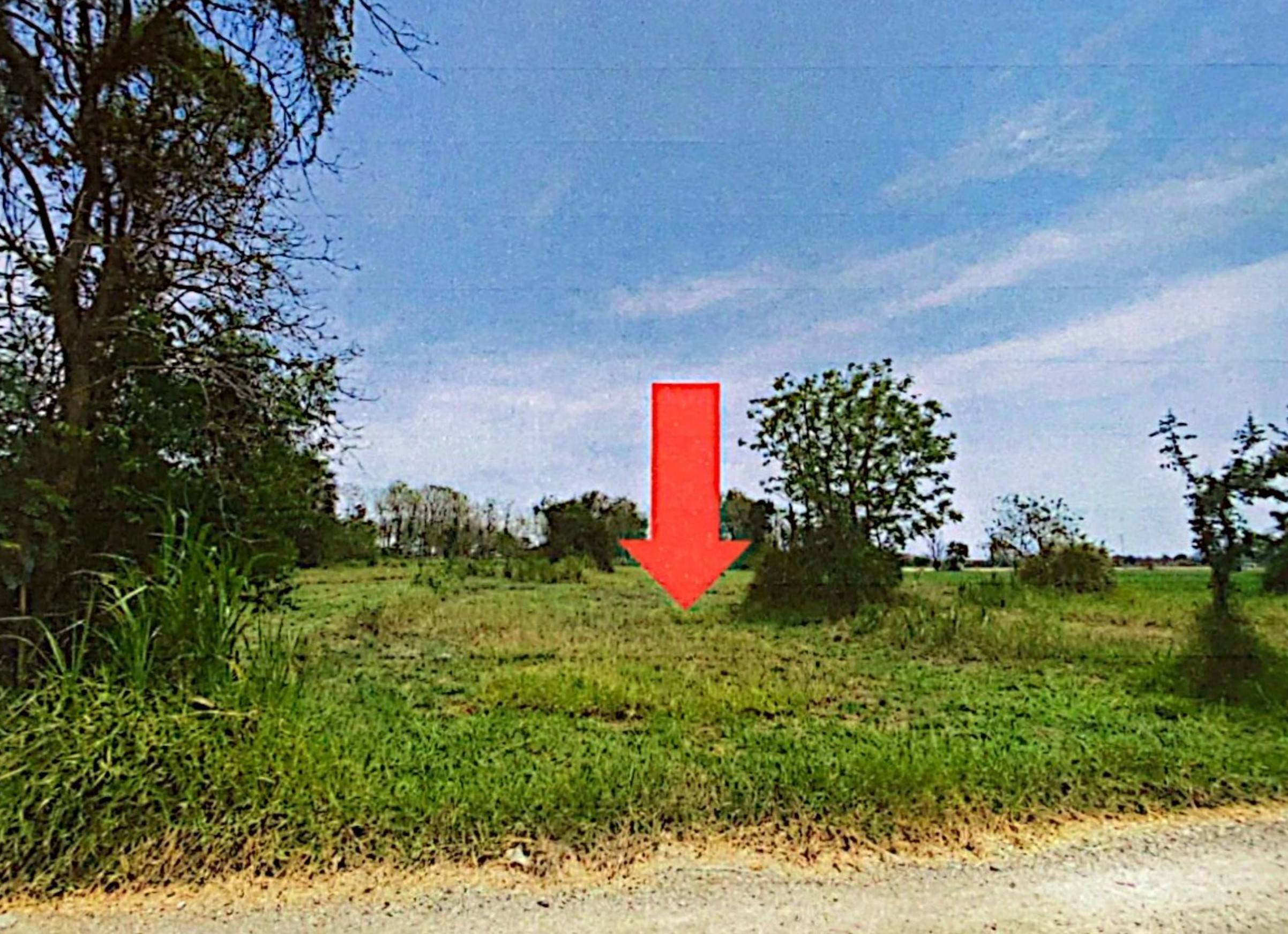 รูปที่ดินว่างเปล่า หนองโพ โพธาราม ราชบุรี