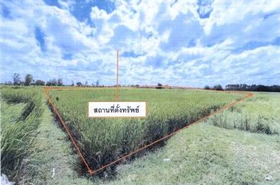 รูปที่ดินว่างเปล่า เมืองเพีย บ้านไผ่ ขอนแก่น