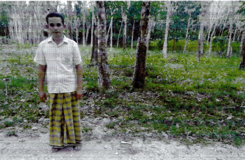 รูปที่ดินว่างเปล่า รือเสาะออก รือเสาะ นราธิวาส