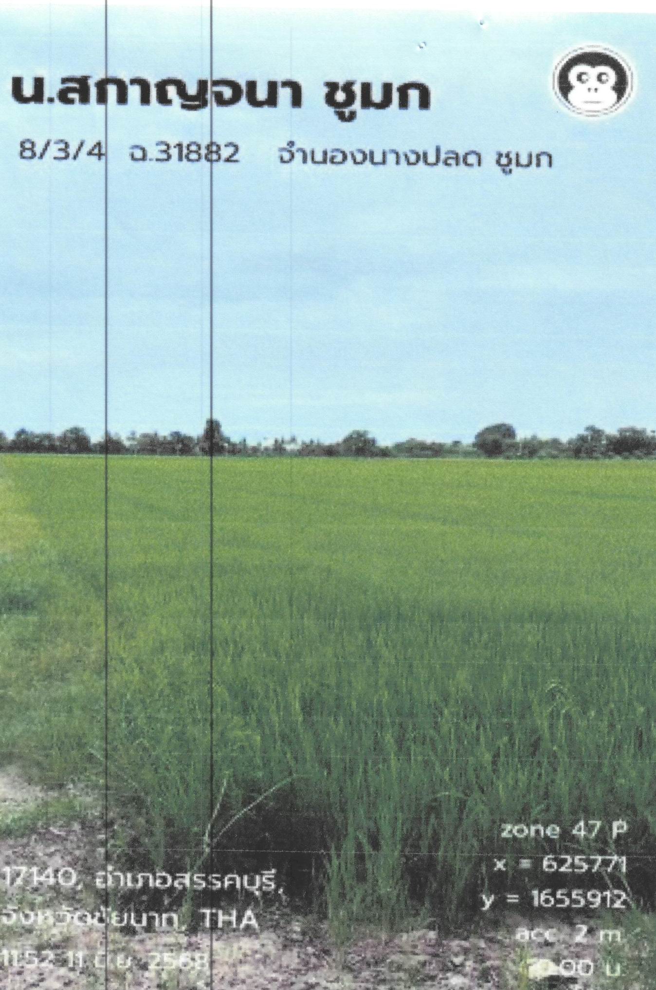 รูปที่ดินว่างเปล่า บางขุด สรรคบุรี ชัยนาท