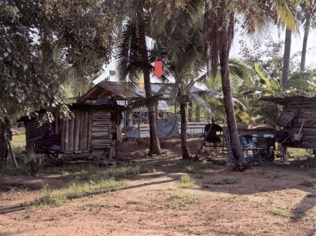 รูปที่ดินพร้อมสิ่งปลูกสร้าง บ้านสิงห์ นางรอง บุรีรัมย์